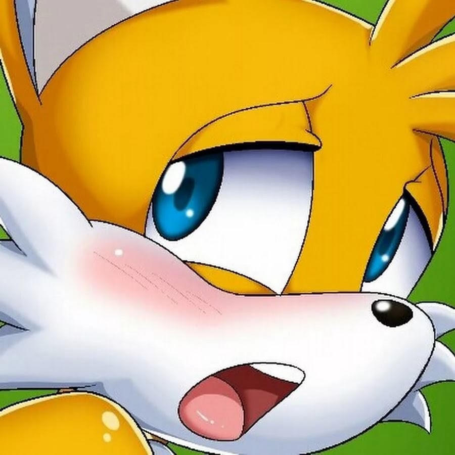 Rule tails. Sonic and Tails r34. Sonic Тейлз r 63. Тейлз и Соник 34. Соник Тейлз r63.