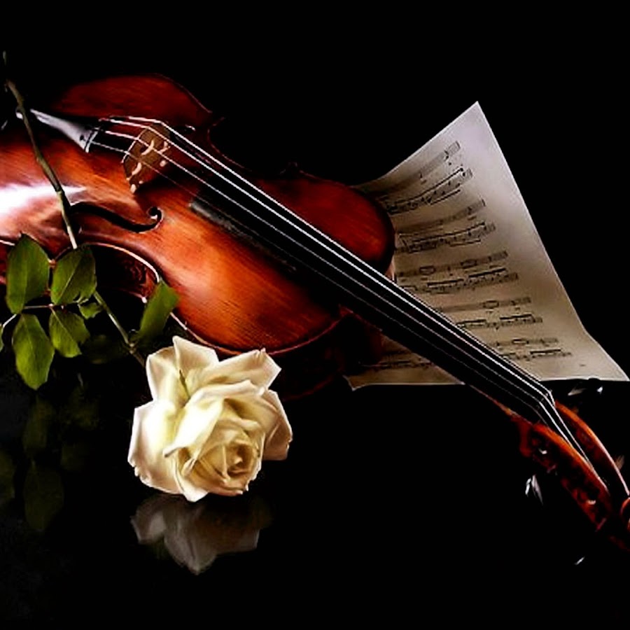 Скрипка. Натюрморт со скрипкой. Поздравляем музыкальные инструменты. Благодарность за прекрасные стихи.