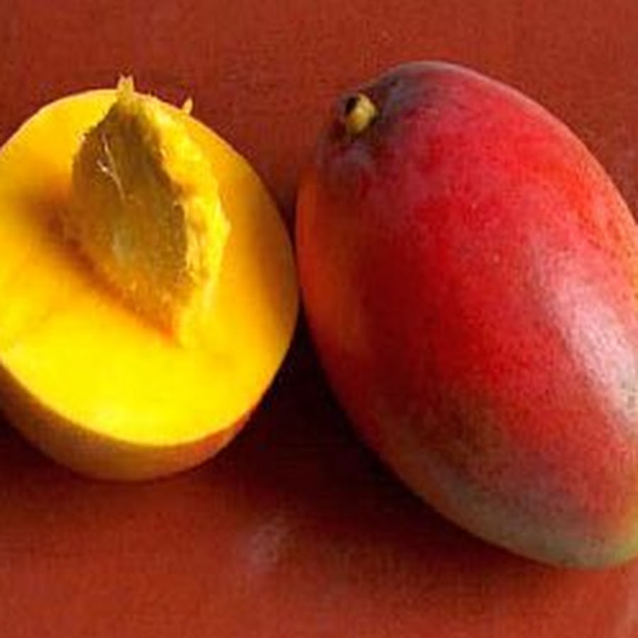 Красно желтый фрукт. Манго фрукт с косточкой. Спелая косточка манго. Манго красно зеленое. Манго фрукт в разрезе.