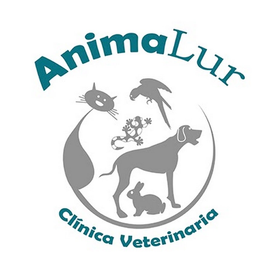 AnimaLur Veterinary Clinic - YouTube
