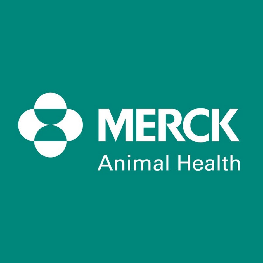 Merck Animal Health Cattle - YouTube