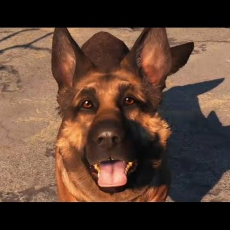 собака в fallout 4 потерялась собака фото 11