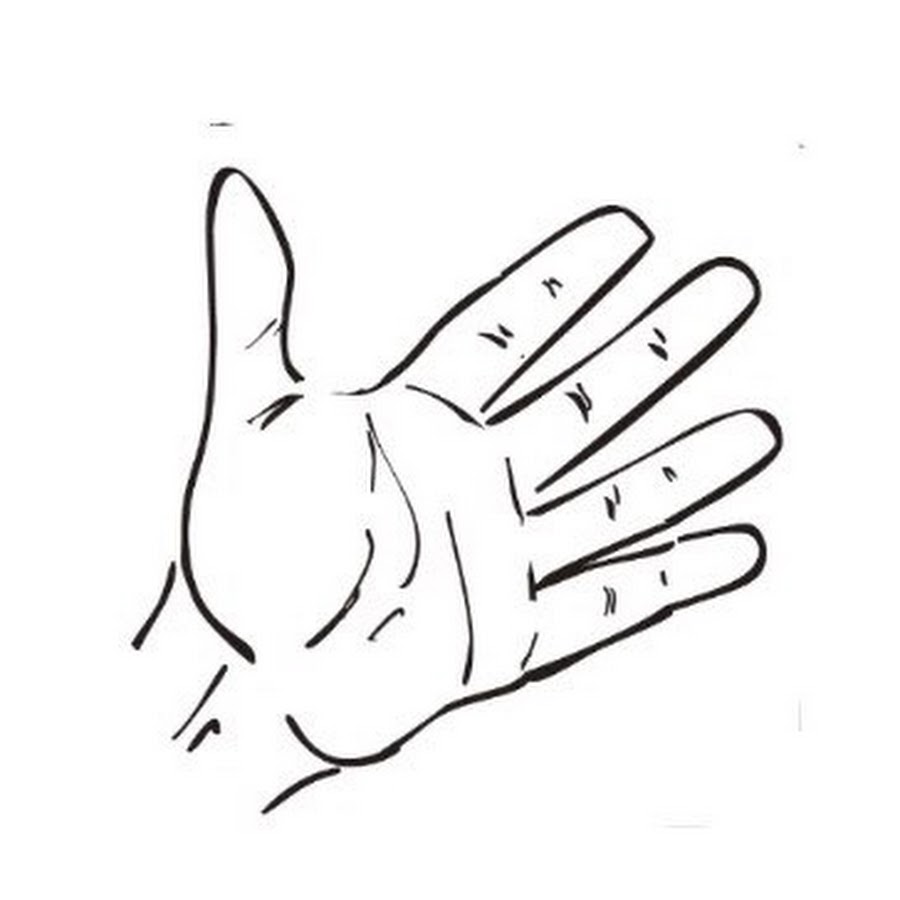 Контурный рисунок руки