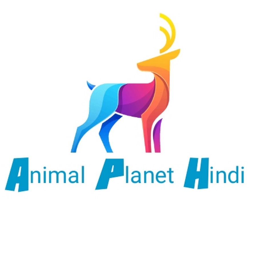 ANIMAL PLANET HINDI - YouTube
