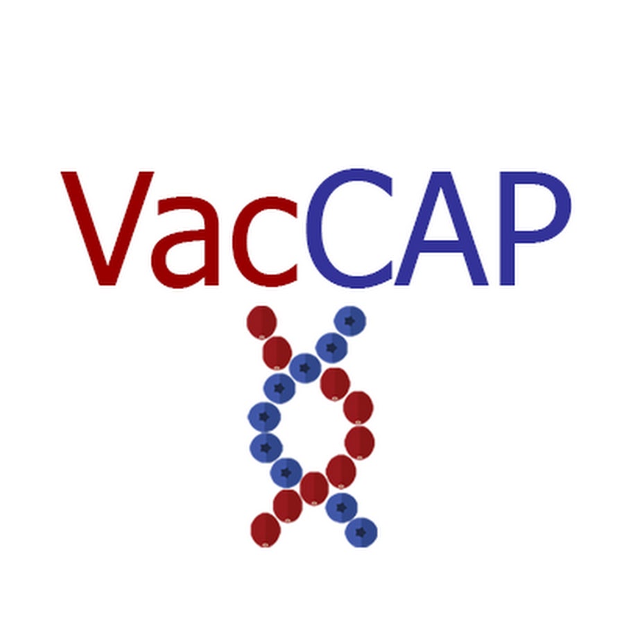 vaccap reviews