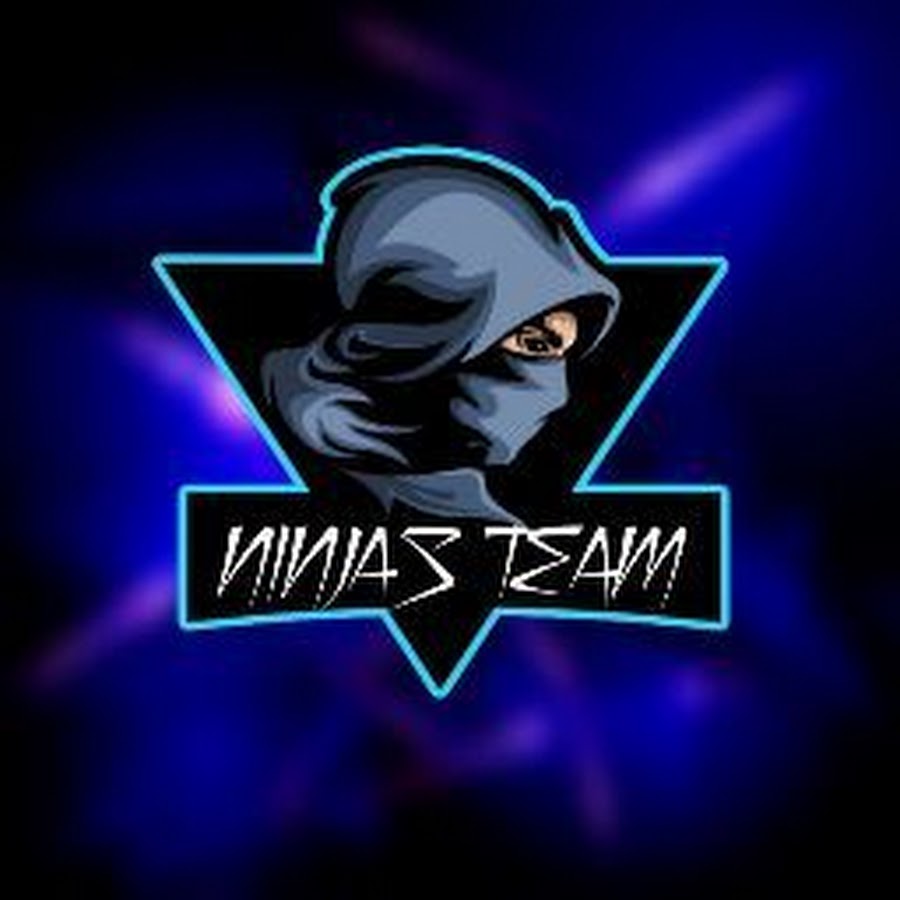 Team ninja проекты