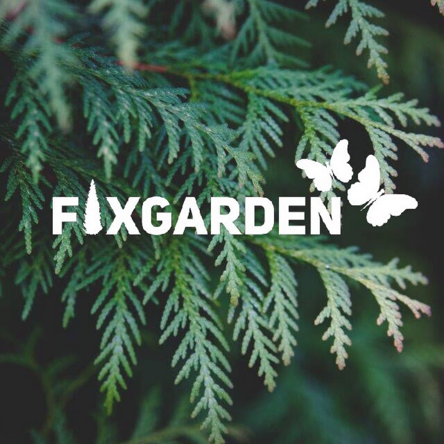 Fix garden. Fixgarden. Растений фикс Гарден. Fixgarden лого. Фикс Гарден питомник.