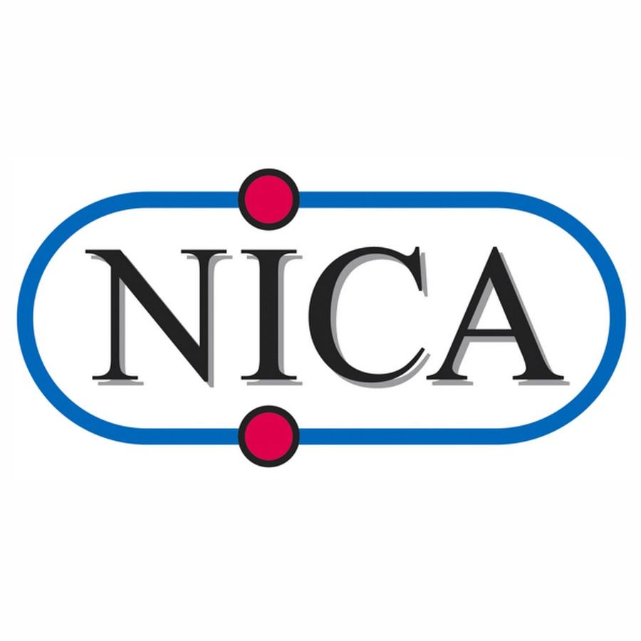 Проект nica дубна