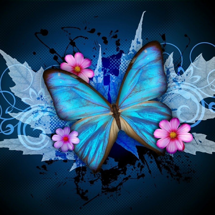 Изображение бабочки