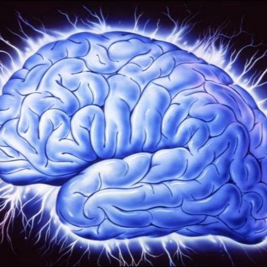 Brain 48. Магия мозга картинки. Мозг с молнией картинки. Мозг ЧИТЕРА.