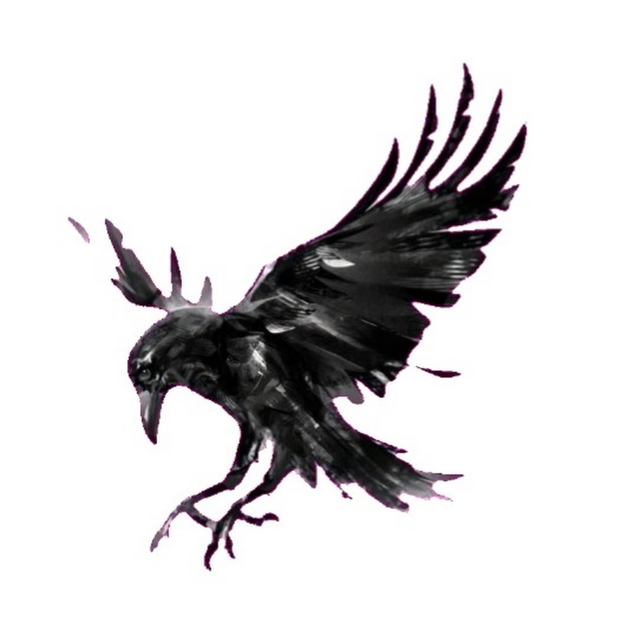 Эскиз ворона с распахнутыми крыльями
