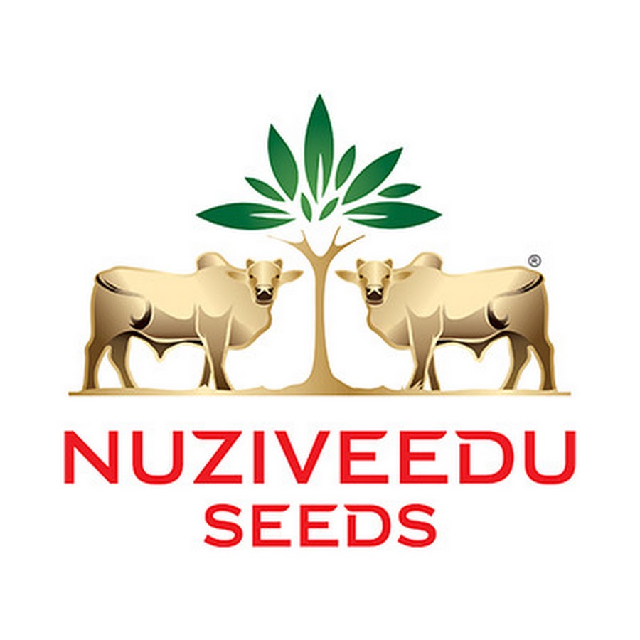 nuziveedu seeds - youtube