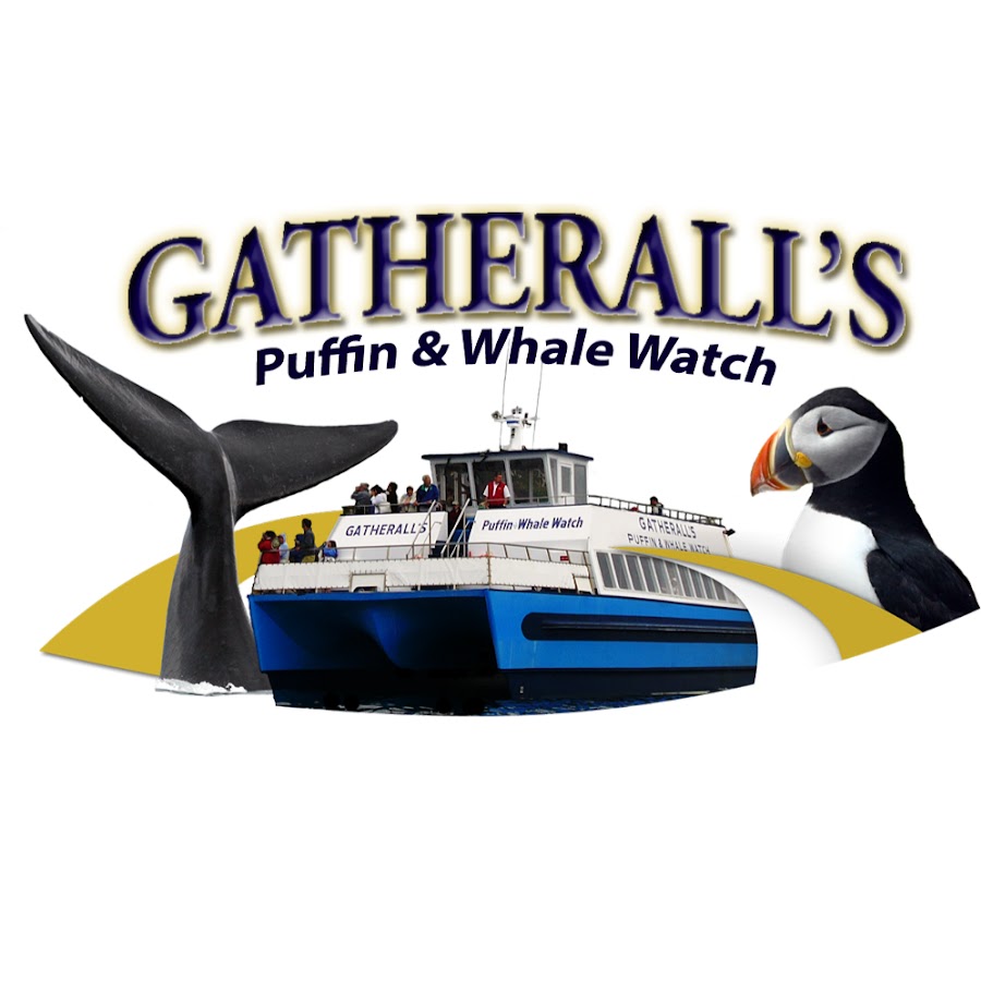 gatheralls boat tours ltd