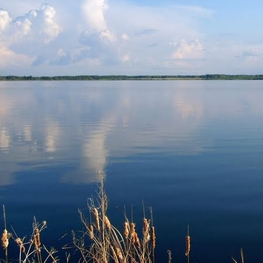 Озеро Дривяты Беларусь. Озеро Шелюгино Челябинская область. Большая Рига Курганская область озеро.