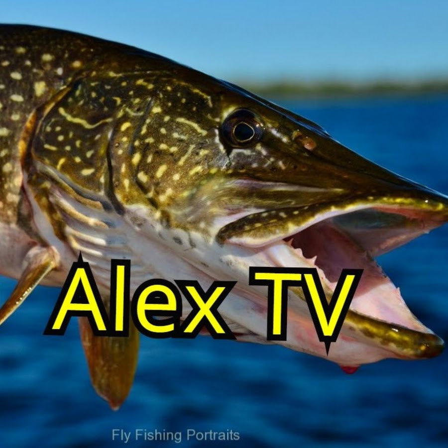 Alex fishing