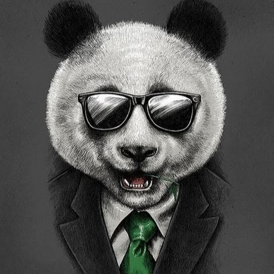 Панда в очках