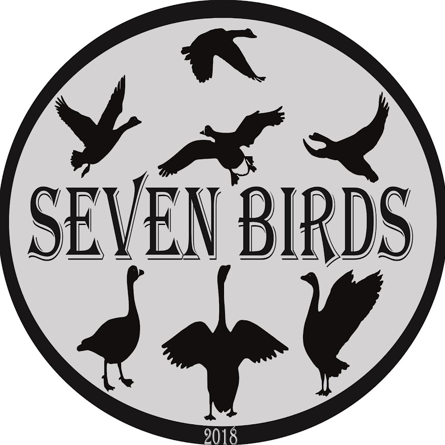 Vk birds. Seven Birds. 7 Birds. Чучела гусей Севен Бирдс купить.