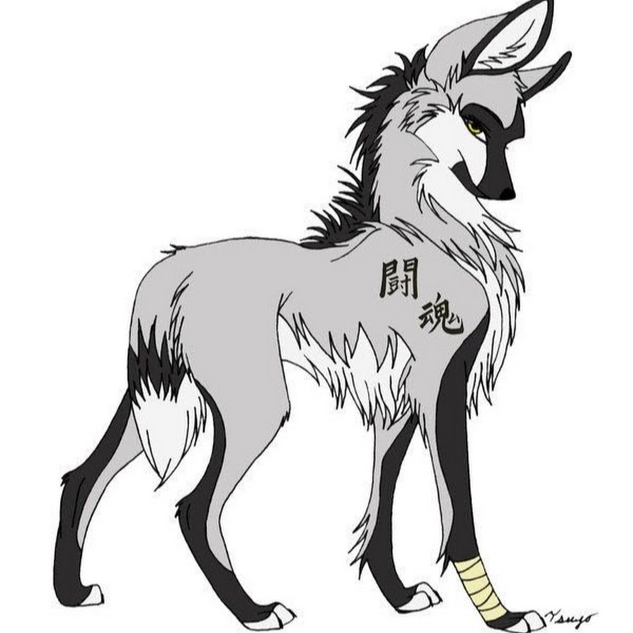 Рисовать волка аниме