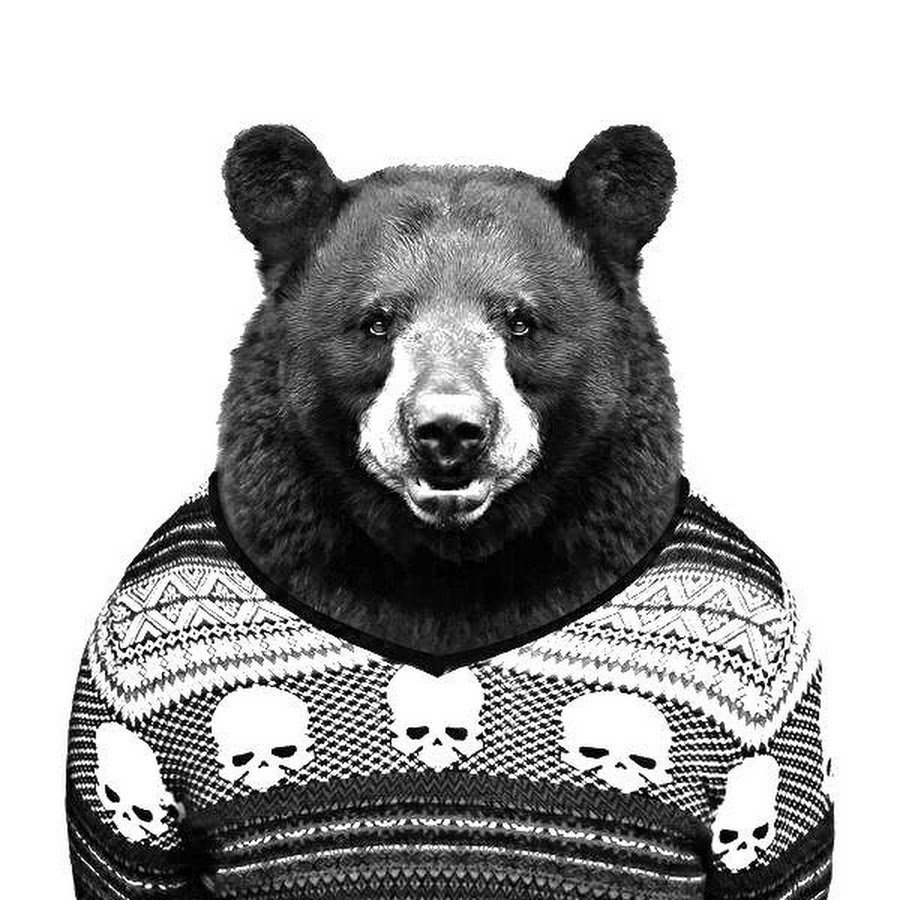 Медведь в свитере