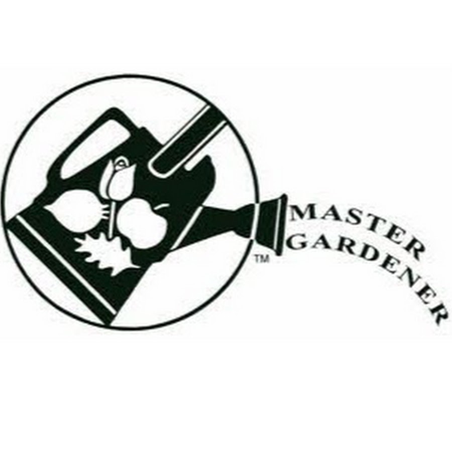 AL5GRJVoLX4RwiB168OSNA1aAYflIYyvyW464d2lxx8f=s900ckc0x00ffffffnorj