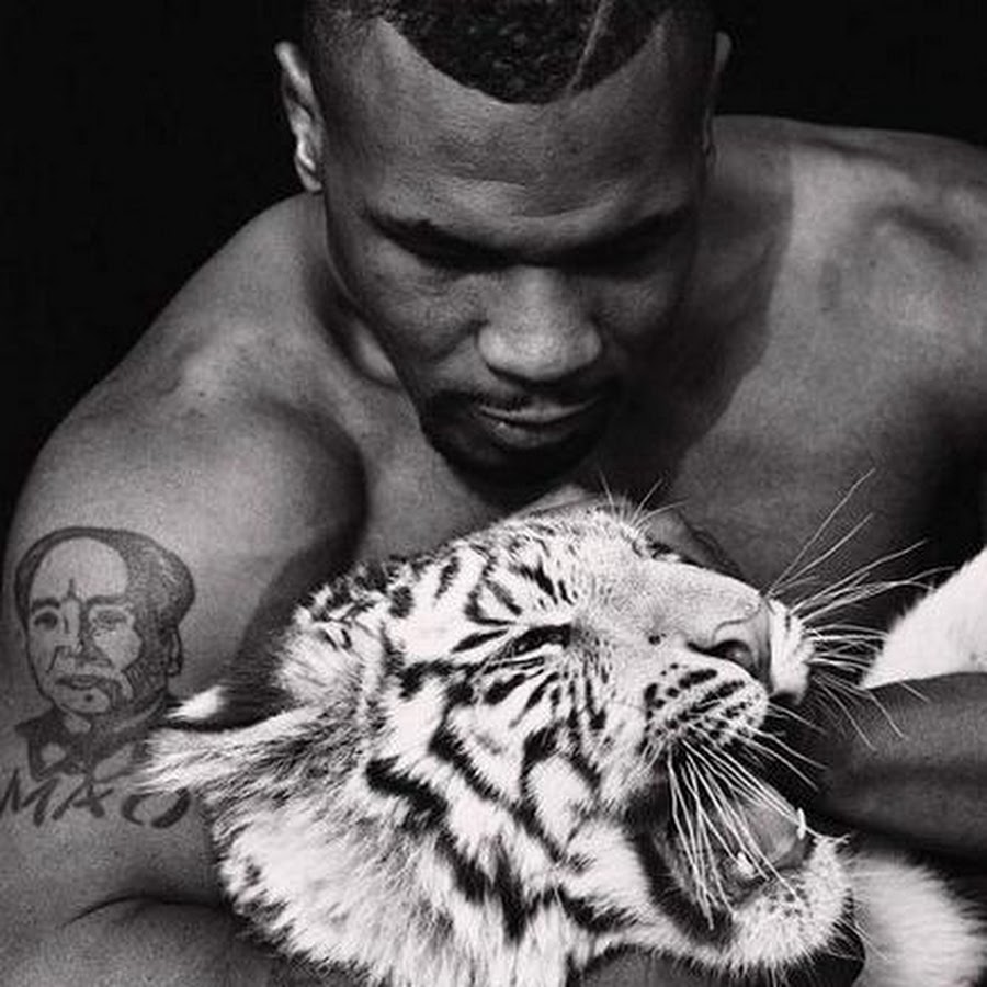 Тайсон майк фото с тигром