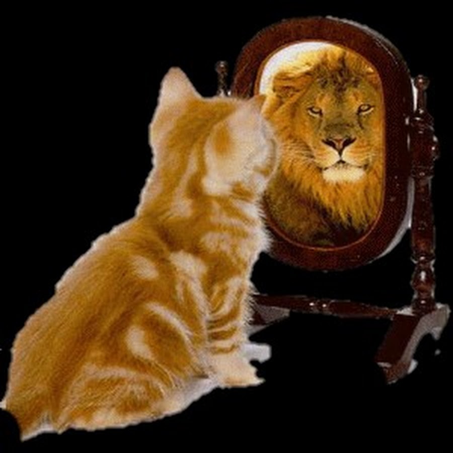 Кот в зеркале Лев