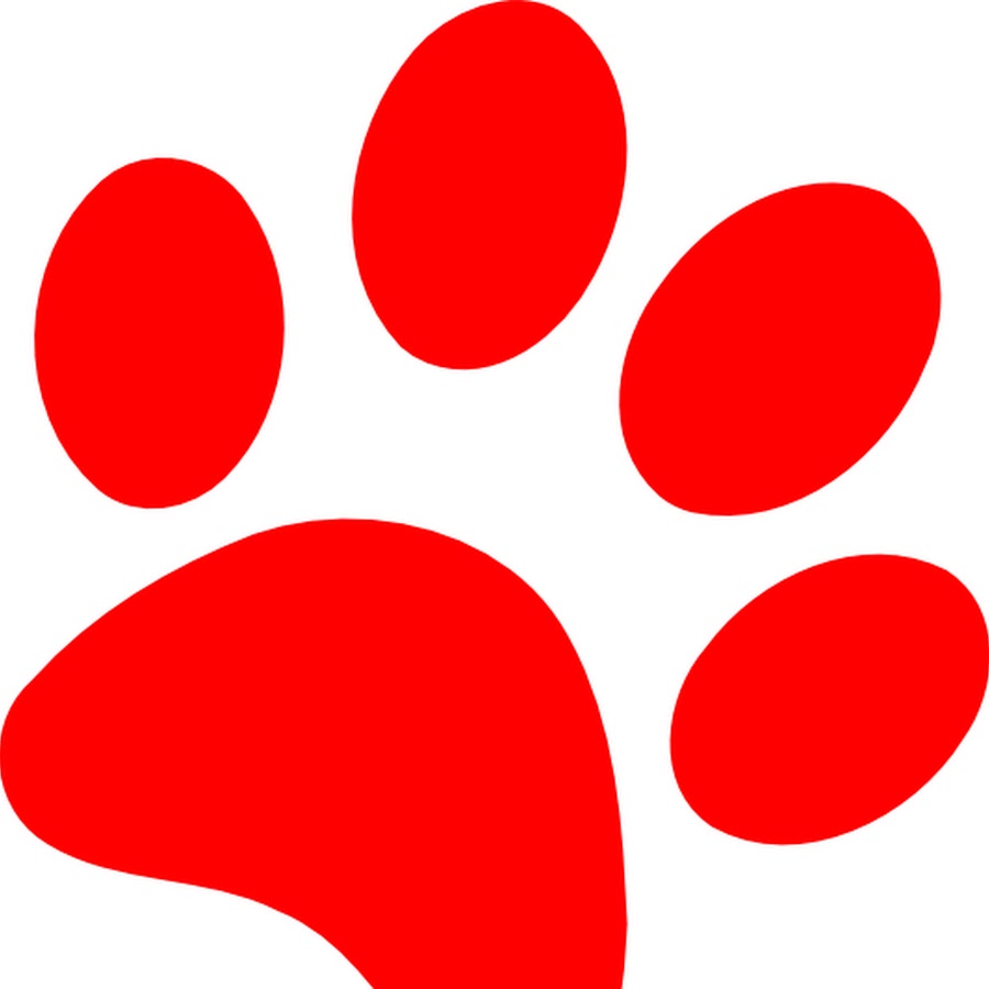 AL5GRJW9JXJCZtdFiepHMnQbXYn_5a5WwVV3G9CGVyW=s900ckc0x00ffffffnorj