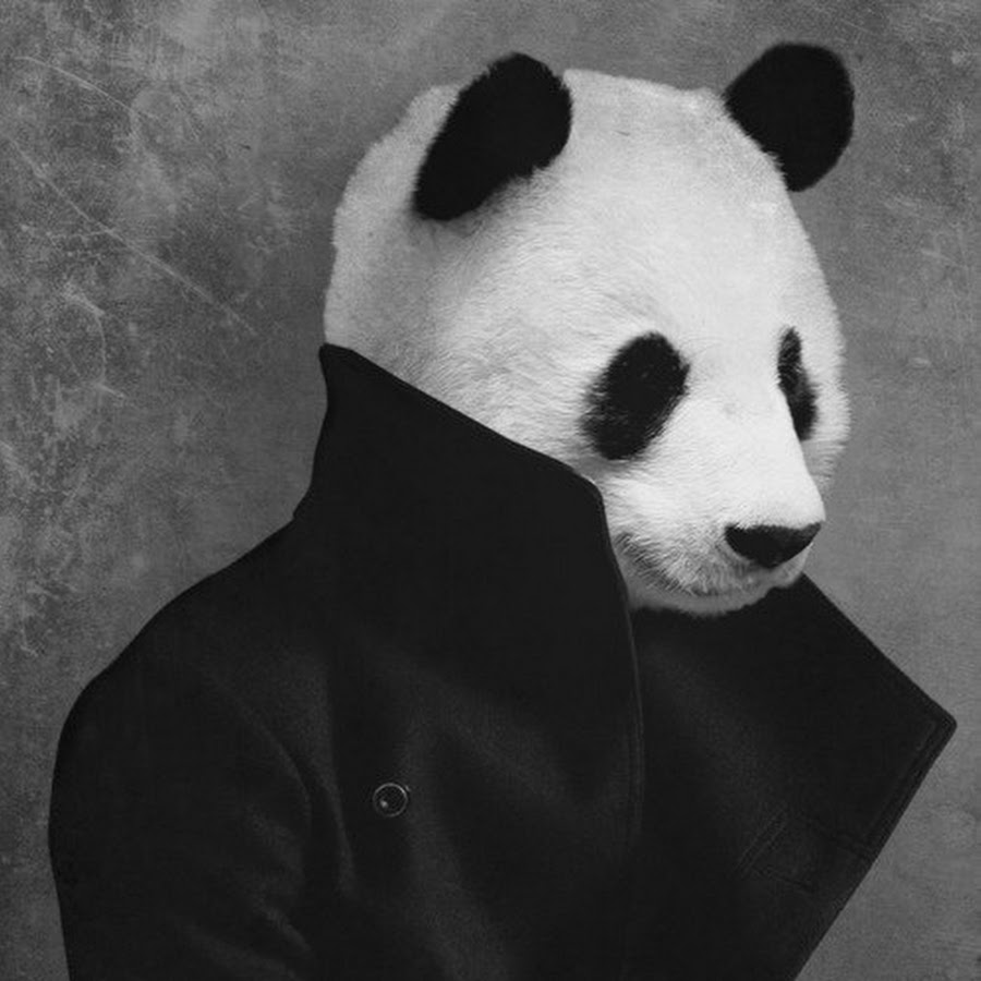 панда крутые фото