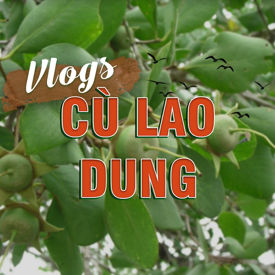 Cù Lao Dung Vlogs - Youtube