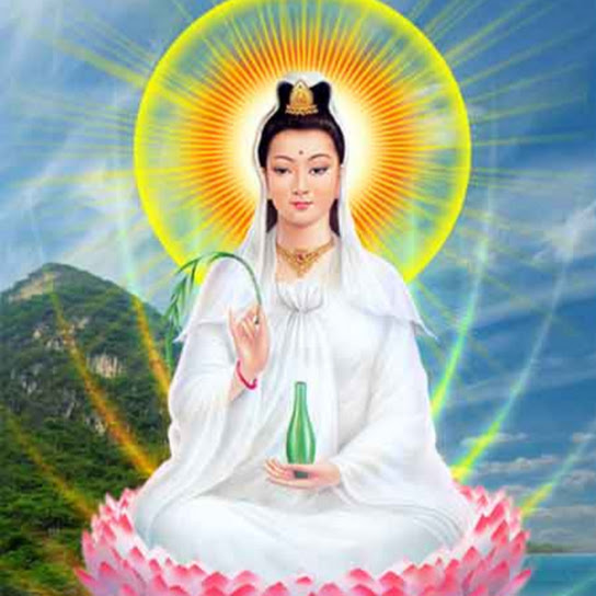Phật: Hành trình tìm hiểu về vị thần linh thiêng nhất trong văn hóa Phương Đông sẽ đưa bạn đến với sự tĩnh tâm và yên bình trong tâm hồn. Quý khách sẽ được ngắm nhìn những hình ảnh đầy sức sống của Phật giáo truyền thống và học hỏi thêm những giá trị tinh thần cao đẹp.