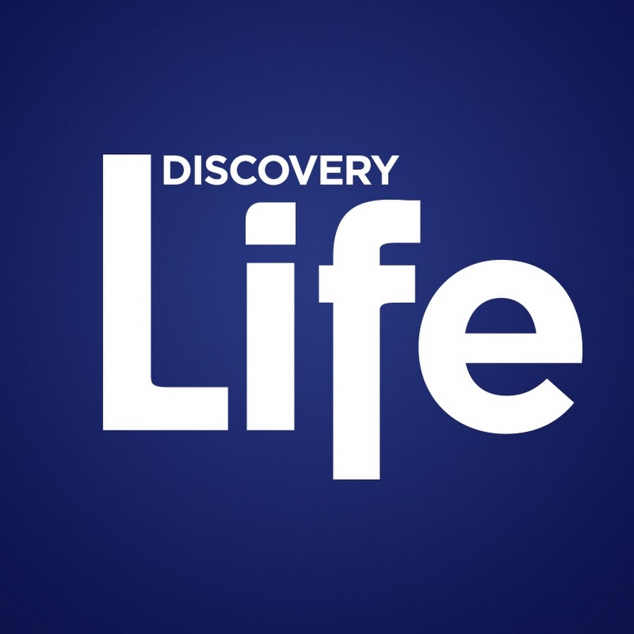 Discovery Life - YouTube