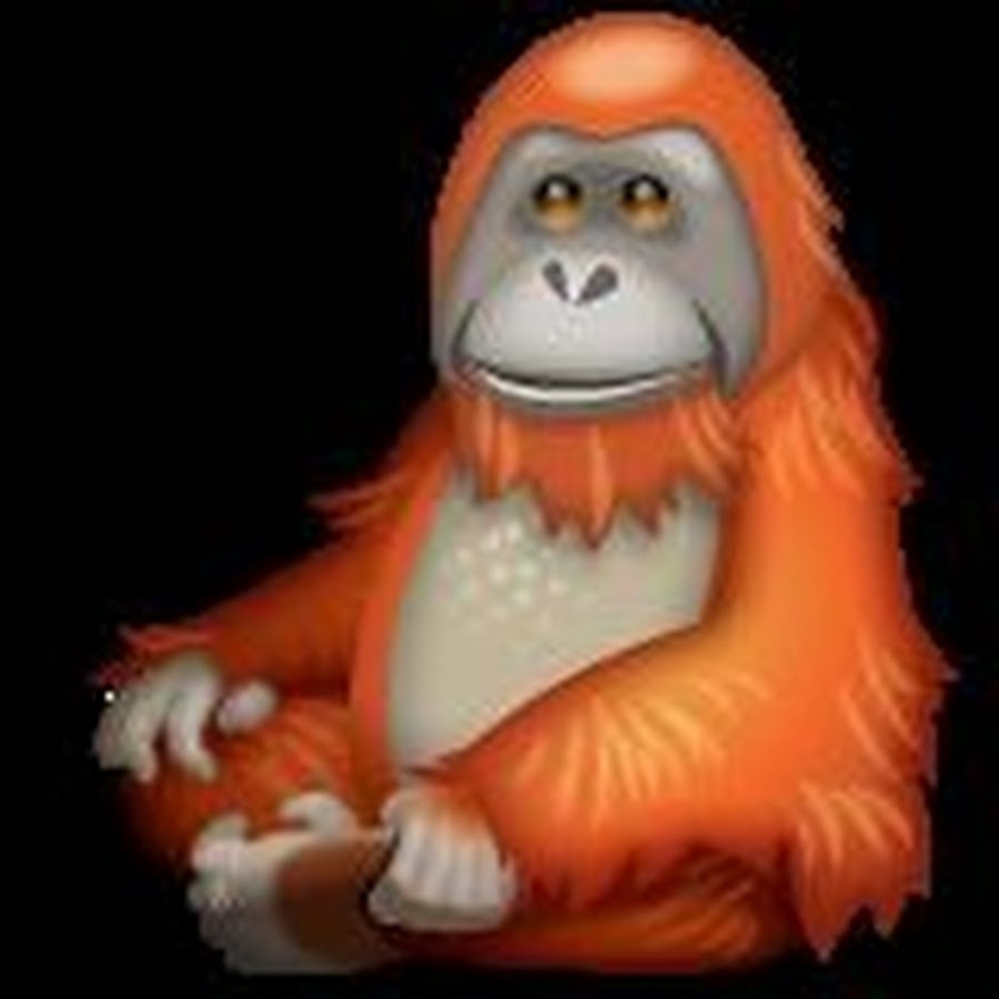 crypto orangutan