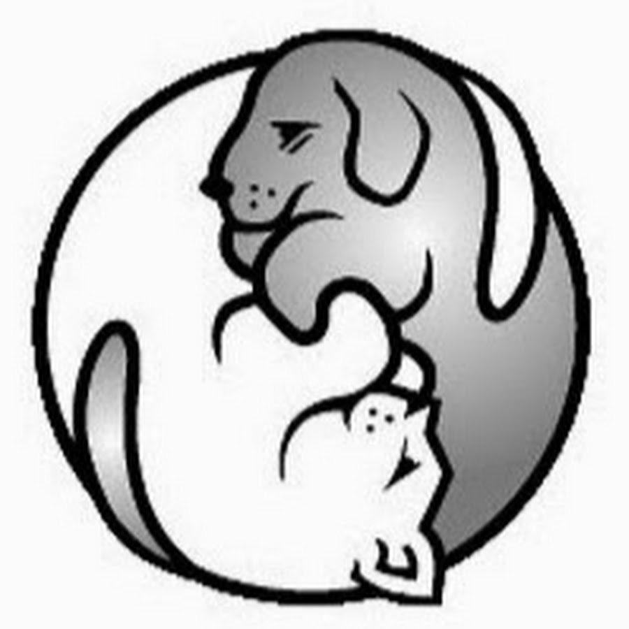 AL5GRJWGRW09fjsNJ3E4IFCFHSea6O2Sag3QD0Iqjdk=s900ckc0x00ffffffnorj