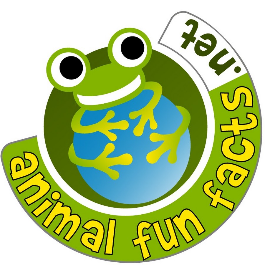 animal fun facts - YouTube