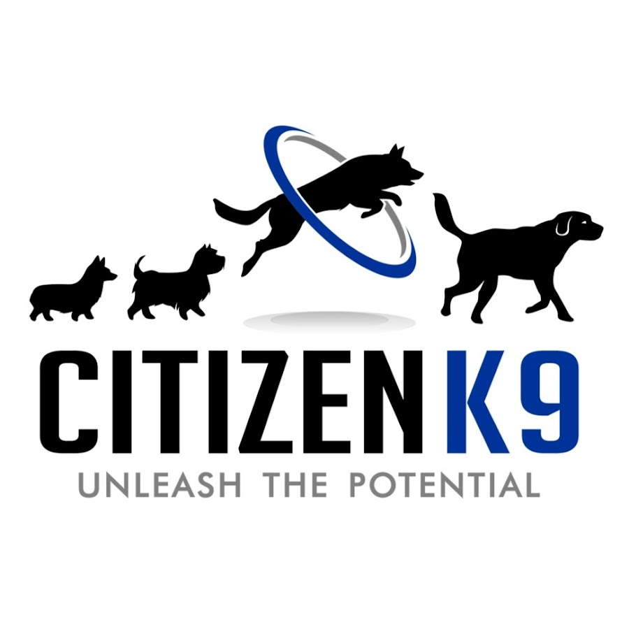 Citizen K9 - YouTube