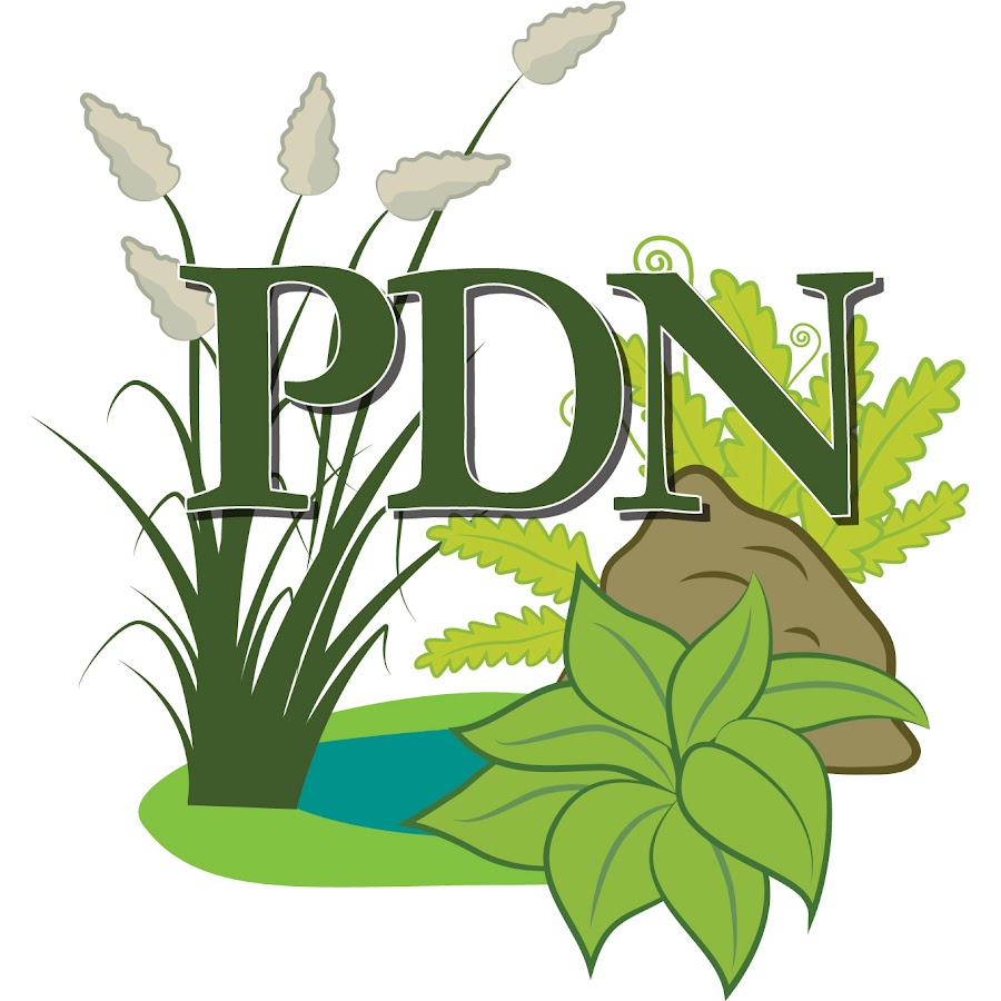 kapok Lignende hinanden Plant Delights Nursery, Inc. - YouTube