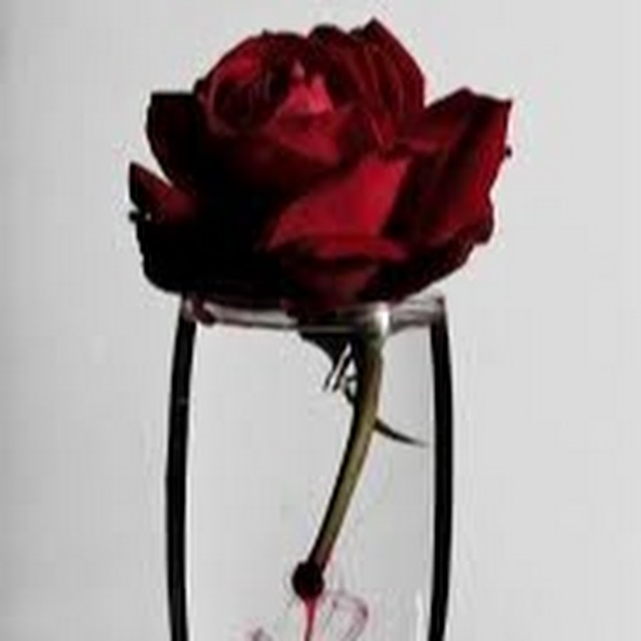 Кровавая роза в бокале