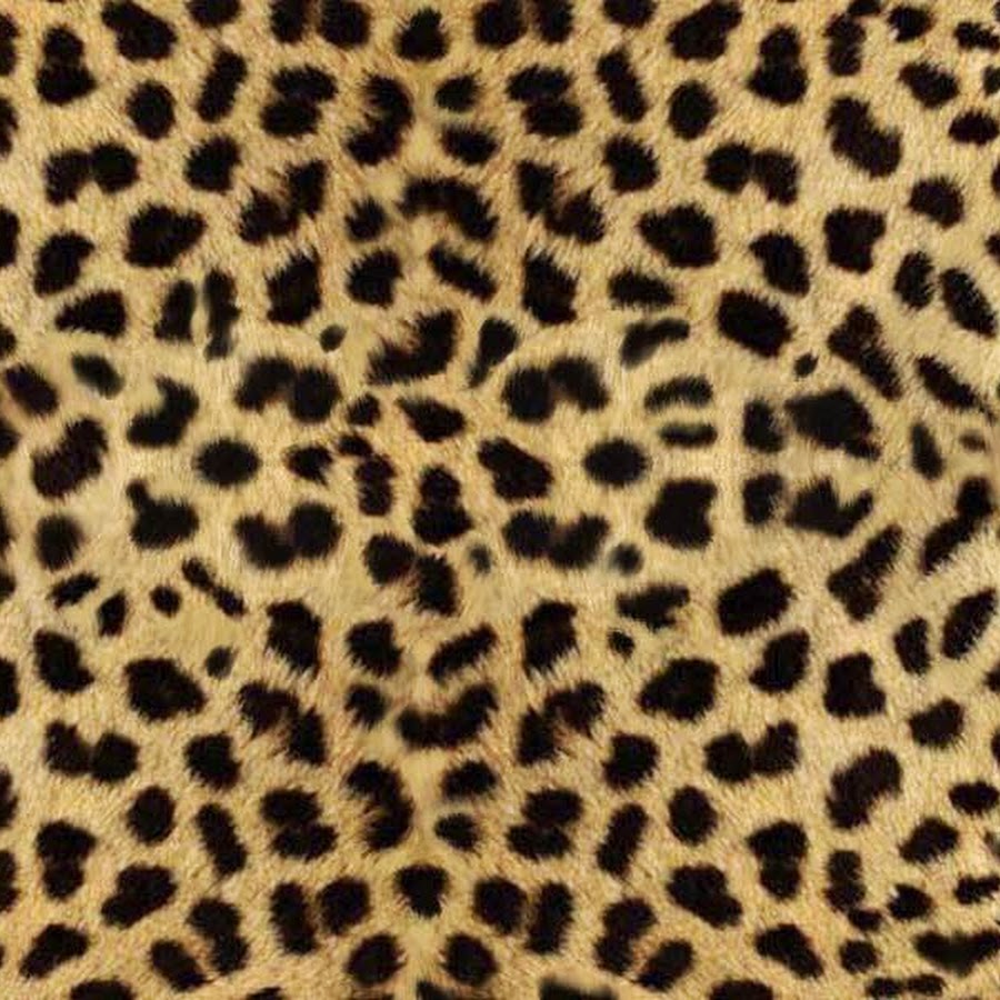 Леопард принт светлый