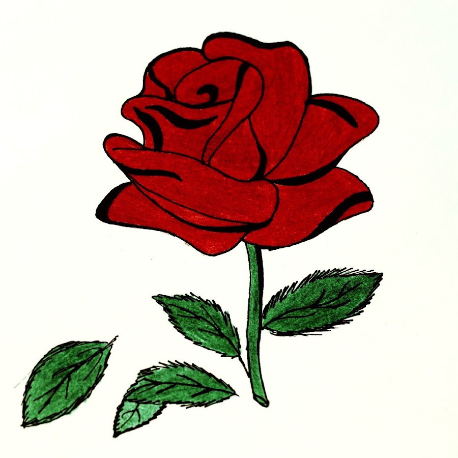 Роза рисунок для детей 7 лет