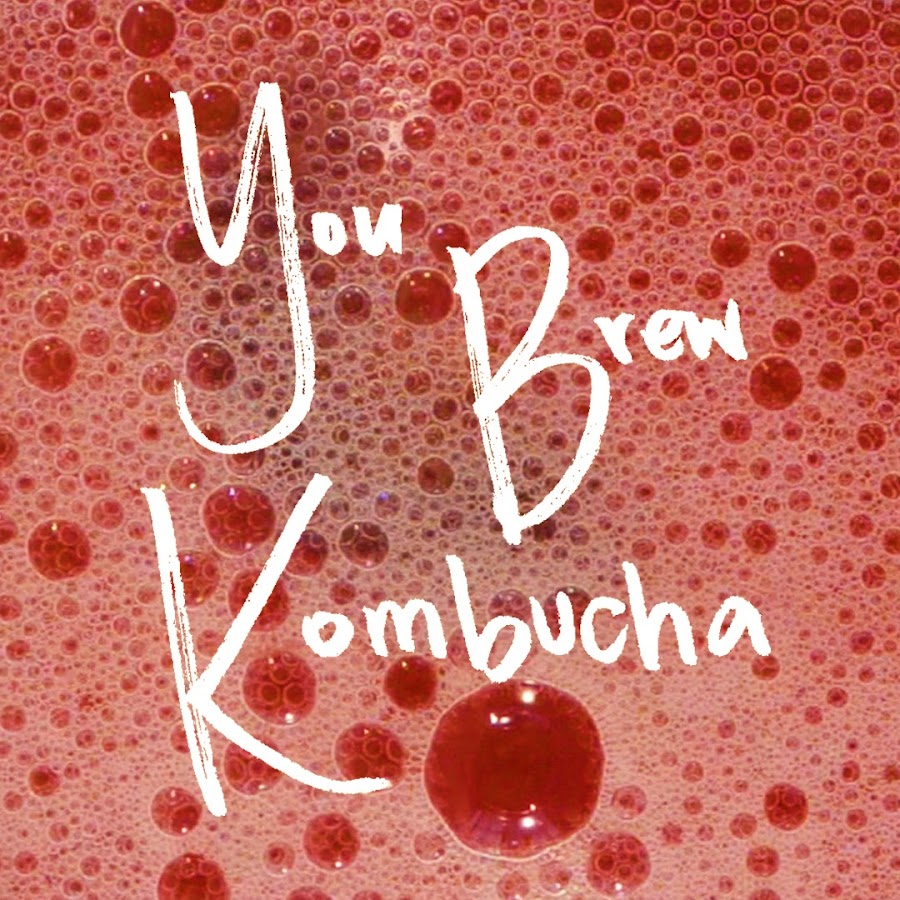 You Brew Kombucha