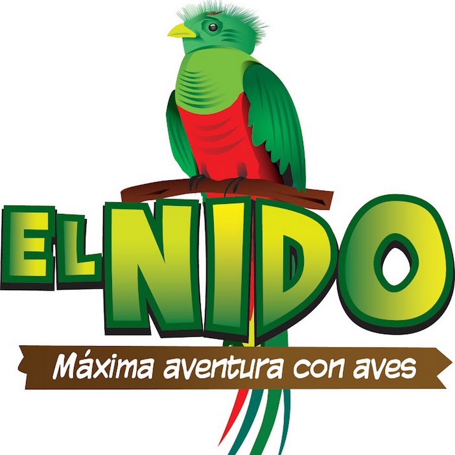 EL NIDO AVIARIO - YouTube