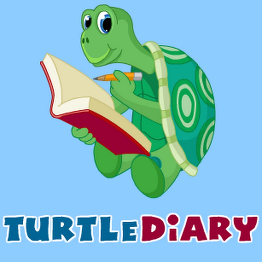 Turtlediary - YouTube