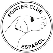 Pointer Club Español - YouTube