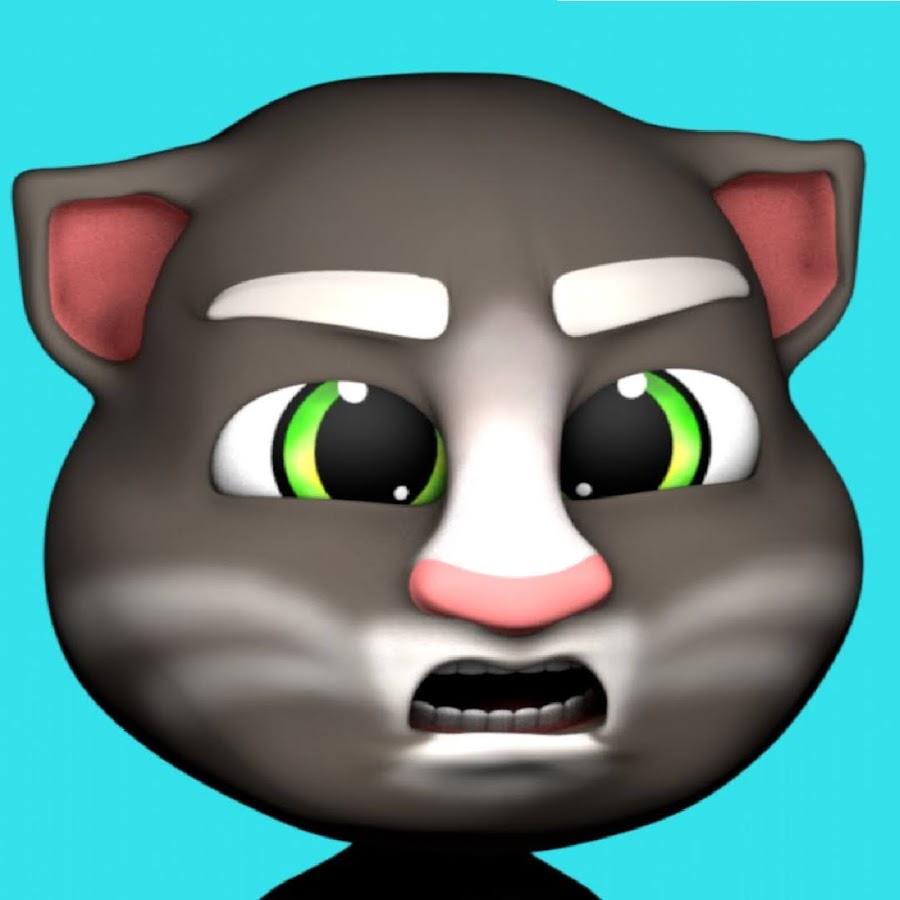 AL5GRJWiMgx4bpVEg-2ymk_IXE_a8pxnXRl-g0xE9qp2=s900-c-k-c0x00ffffff-no-rj