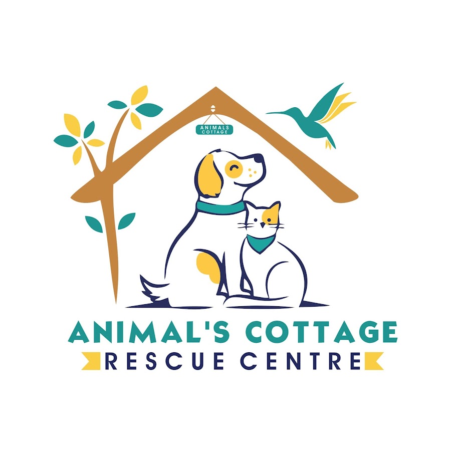 Animal's Cottage - Rescue Center - YouTube