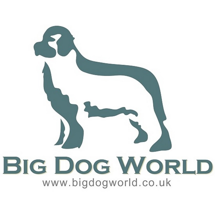 Dog world. Big Dog логотип. Логотип с названием Dog World. Устройство big Dog.