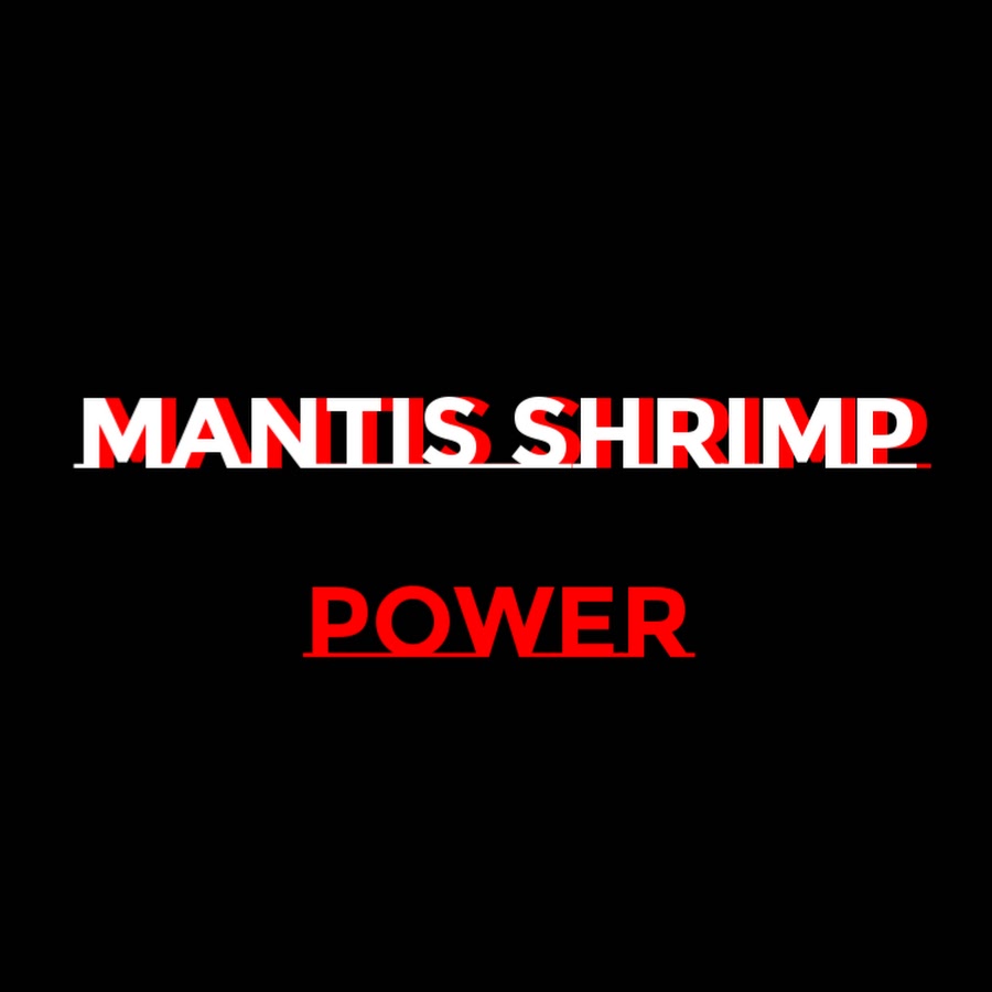 power of mantis shrimp