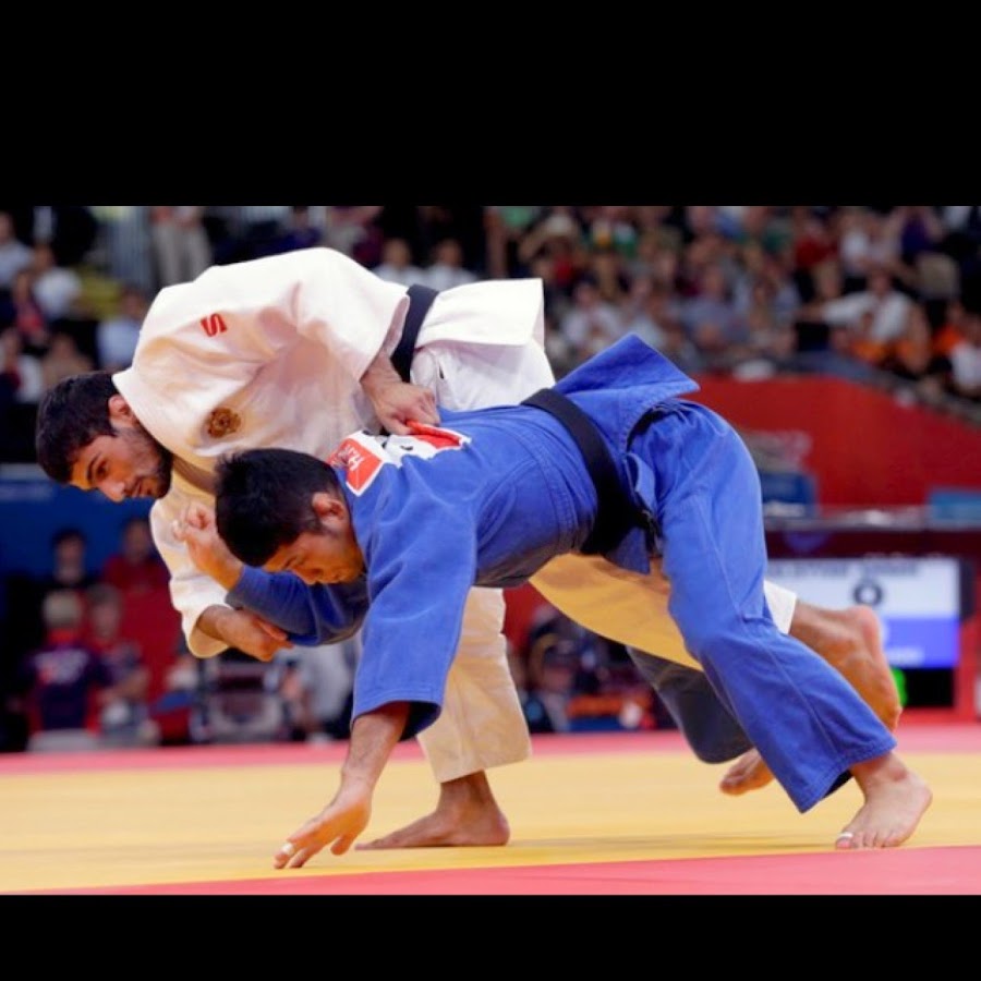 бжж бразильское джиу джитсу. дзюдо из какого единоборства. дзюдо из какого единоборства. дзюдо из какого единоборства. дзюдо из какого единоборства.