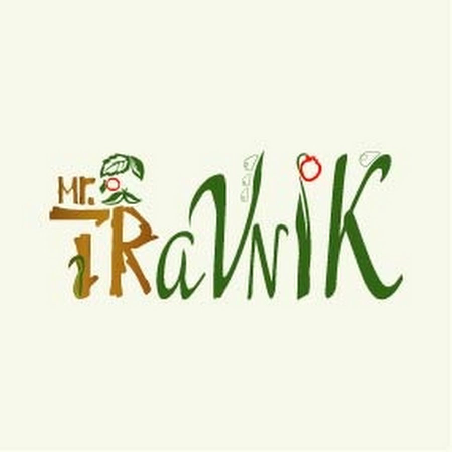 Обложка для травника. Буквы травник. Русский травник книга. Травник обложка своими руками. Лекарственные растения.