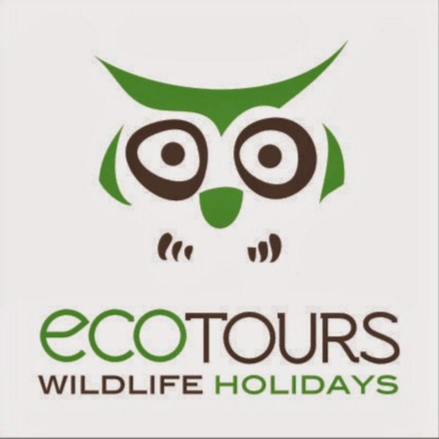 Wildlife holidays. Ecotour.